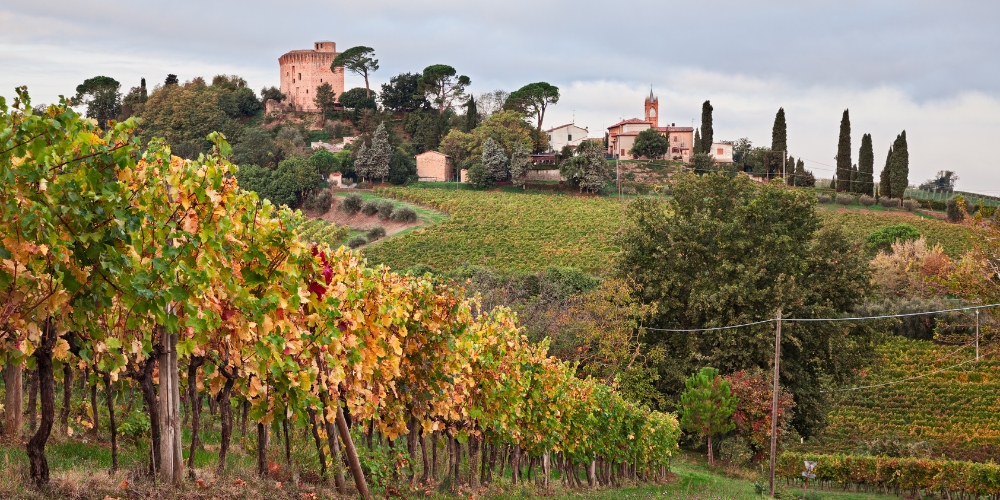 taxi-privato-wine-tour-franciacorta