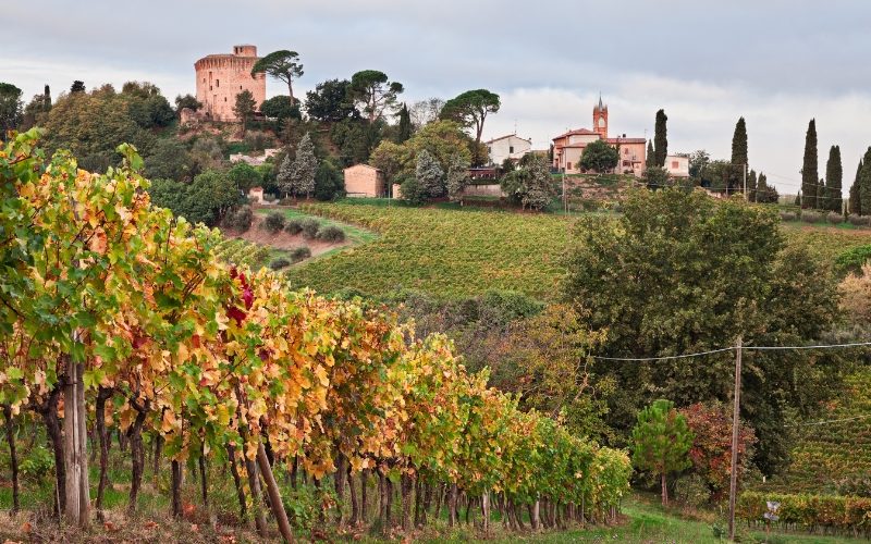 taxi-privato-wine-tour-franciacorta